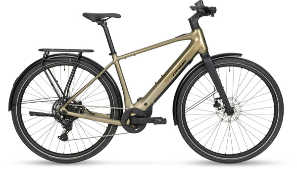 Stevens E-Livenza 6.4.1 Diamant