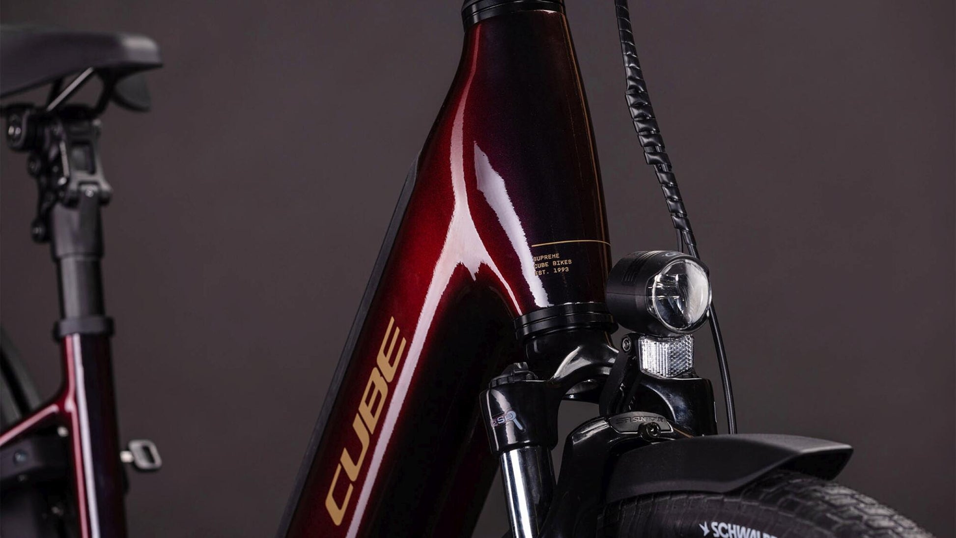 Cube Supreme Hybrid Comfort Pro Wave 600Wh solareclipse´n´gold