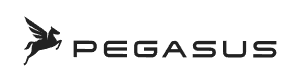 Pegasus